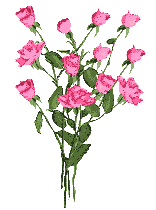 bouque_of_pink_rosses.gif